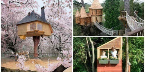 Dětské domy na stromech